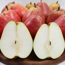 국내산 스위트센세이션 서양배 1kg (3-7과)