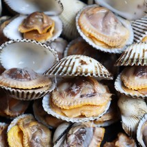 여수 제철 꼬막 1kg 소