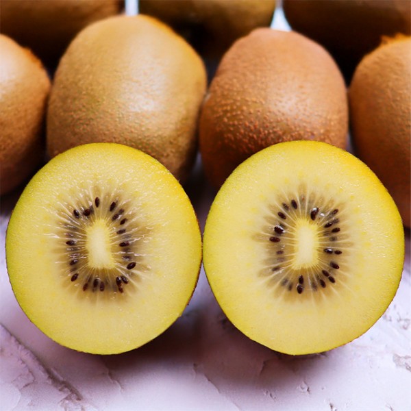 제주 고당도 제스프리 골드키위 특대 20과