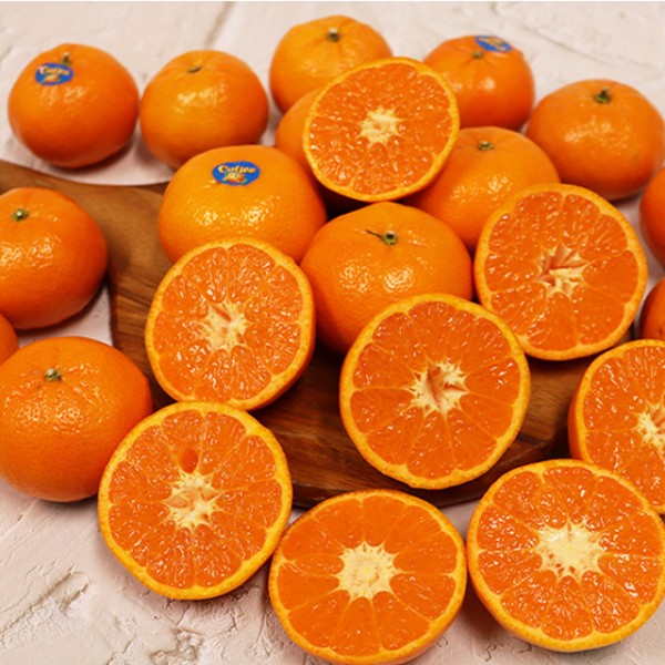 고당도 수입 감귤 만다린 6kg