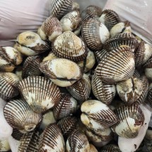 당일조업 국내산 제철 새꼬막 3kg