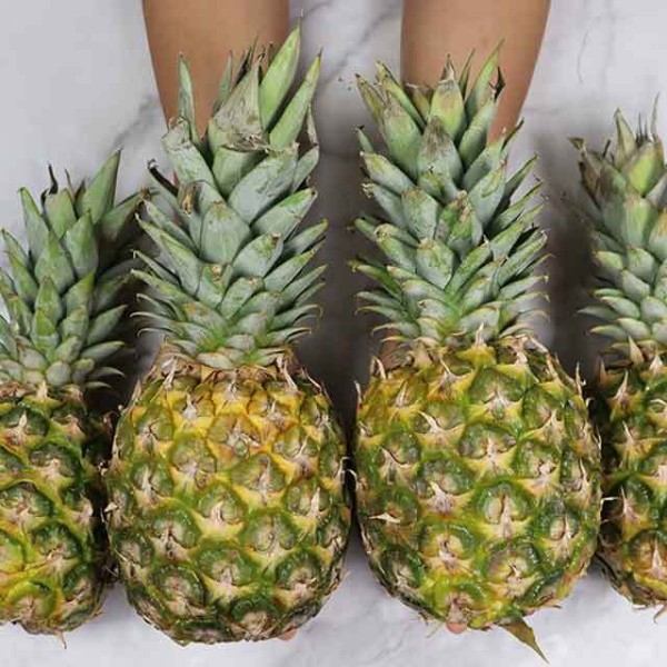 아나나스 파인애플 4수