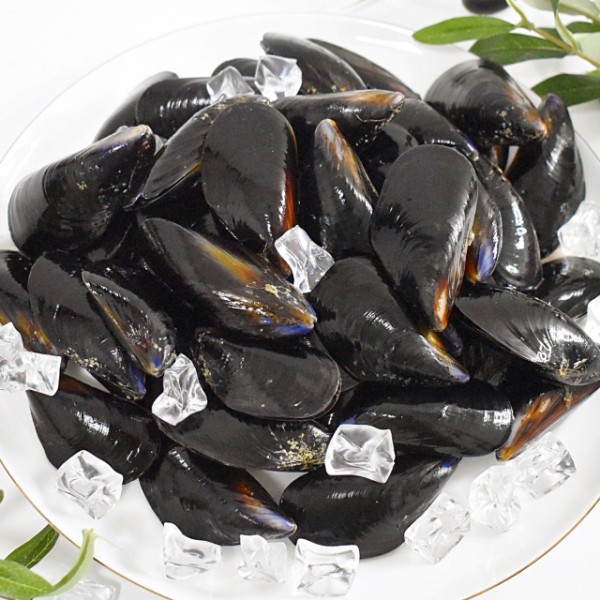 당일조업 남해안 세척 홍합 8kg