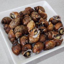 손질 자숙 범고동 500g