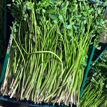 경북 청도 미나리 1kg