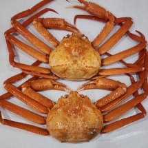 러시아 대왕 자숙 홍게 2미 2.5kg 내외