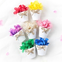 프리저브드 플라워 수국 미니 드로잉 화분 만들기 DIY키트 체험