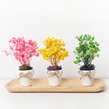 프리저브드 플라워 안개꽃 미니 드로잉 화분 만들기 DIY키트 체험