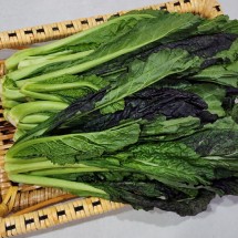 국내산 노지 홍갓 김장갓 1kg