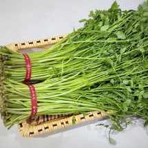 순천만 청정 세척 미나리 1kg