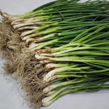 국내산 노지 흙쪽파 1kg