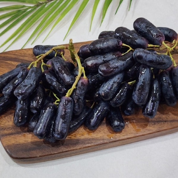 고당도 블랙 사파이어 포도 1.8kg
