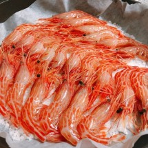 당일조업 활 독도새우 꽃새우 500g