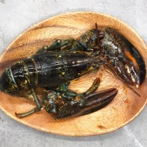 캐나다 활 랍스타 랍스터 1미 500g