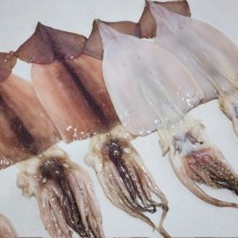 촉촉한 정품 반건조 오징어 중 5미 550g 내외