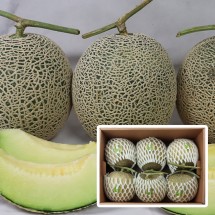 국내산 고당도 머스크메론 선물세트 8kg (5-6수)