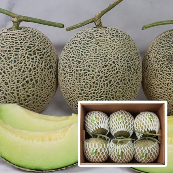 국내산 고당도 머스크메론 선물세트 8kg (5-6수)