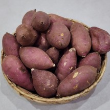 해남 꿀고구마 한입 5kg