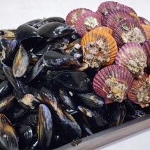 당일조업 통영 홍합 가리비 세트 4kg