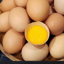 난각번호1번 유정란 계란 20구 자연방사 달걀