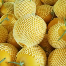 경북 고령 양구메론 3kg