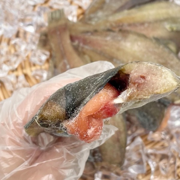 국내산 반건조 두절 알배기 참가자미 5미 x 1팩