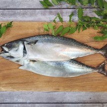 부산 특대 자반고등어 2미 38cm 내외