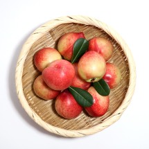 경북 고당도 신비복숭아 1kg 소과