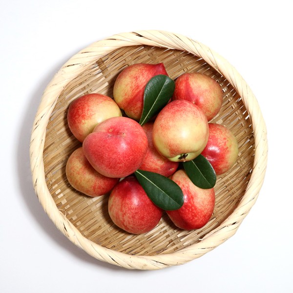 경북 고당도 신비복숭아 1kg 소과