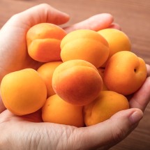 국내산 하우스 살구 500g