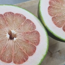 베트남 핑크 포멜로 자몽 1수 (1.2kg 내외)