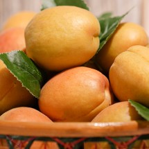 고당도 국내산 살구 1kg