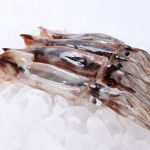 동해 통찜용 급냉 오징어 1kg