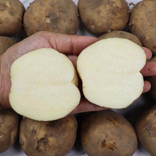 충북 괴산 햇 수미감자 대왕 3kg