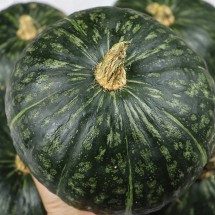 포슬포슬 숙성 단호박 2kg 내외