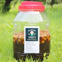 충북 제천 개복숭아 복숭아청 10kg