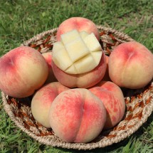 햇사레 장호원 백도복숭아 3kg (13-15과)