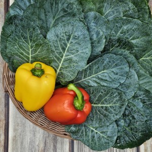 산지직송 경기도 이천 케일 1kg 쌈 녹즙