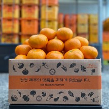 제주 레드향 가정용