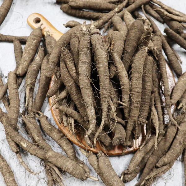 제주도 햇 더덕 실속 2kg