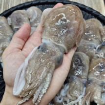 국내산 급냉 귀오징어 1kg 통찜용