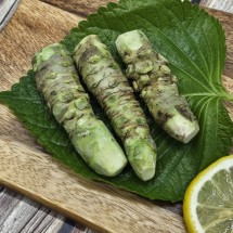 갈아먹는 생와사비 뿌리 고추냉이 3-4뿌리 70g