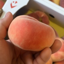 거반도 납작 복숭아 1kg