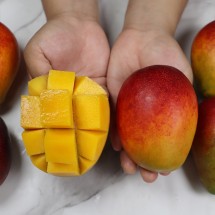 제주 애플망고 선물세트 2kg 대과