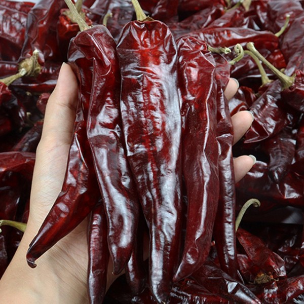 청송 햇 홍건고추 3kg