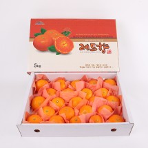 제주 레드향 선물세트