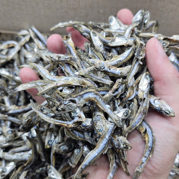 서해안 고주바 멸치 고바 중바 중멸치 1.5kg