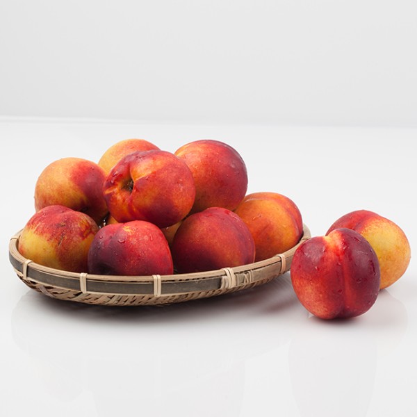 고당도 영천 천도복숭아 2kg 중과