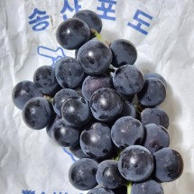 고당도 송산 포도 1kg