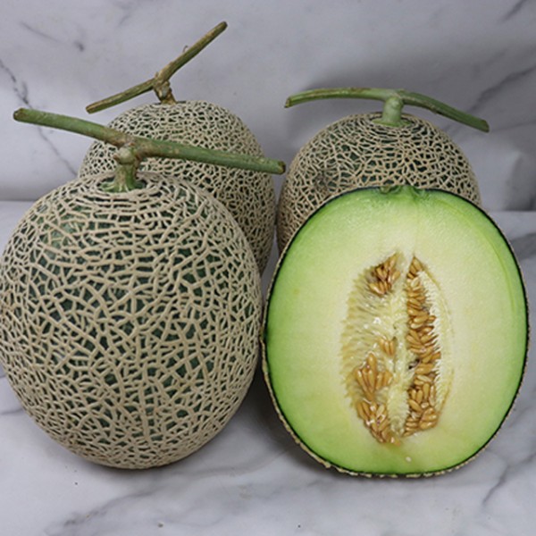 국내산 고당도 머스크메론 선물세트 3kg 내외 (2수)